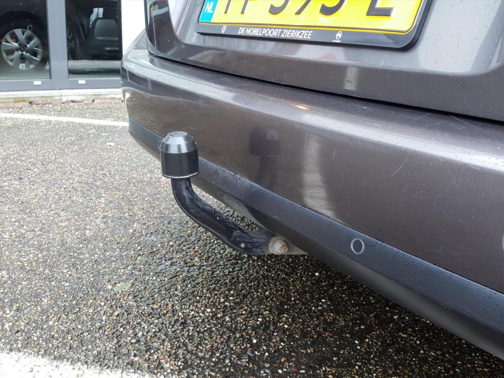 Citroen Grand C4 Picasso 130pk s&s business 7persoons trekhaak | apple carp
