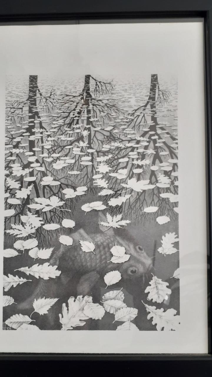 8 Escher prints