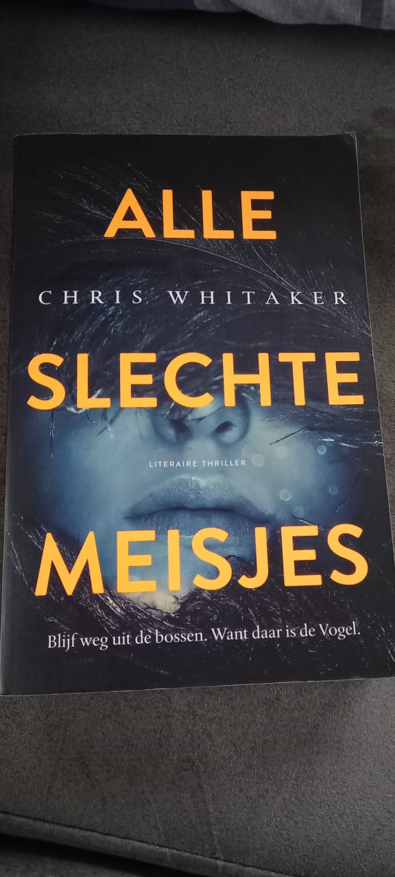 "Alle slechte meisjes" leesboek