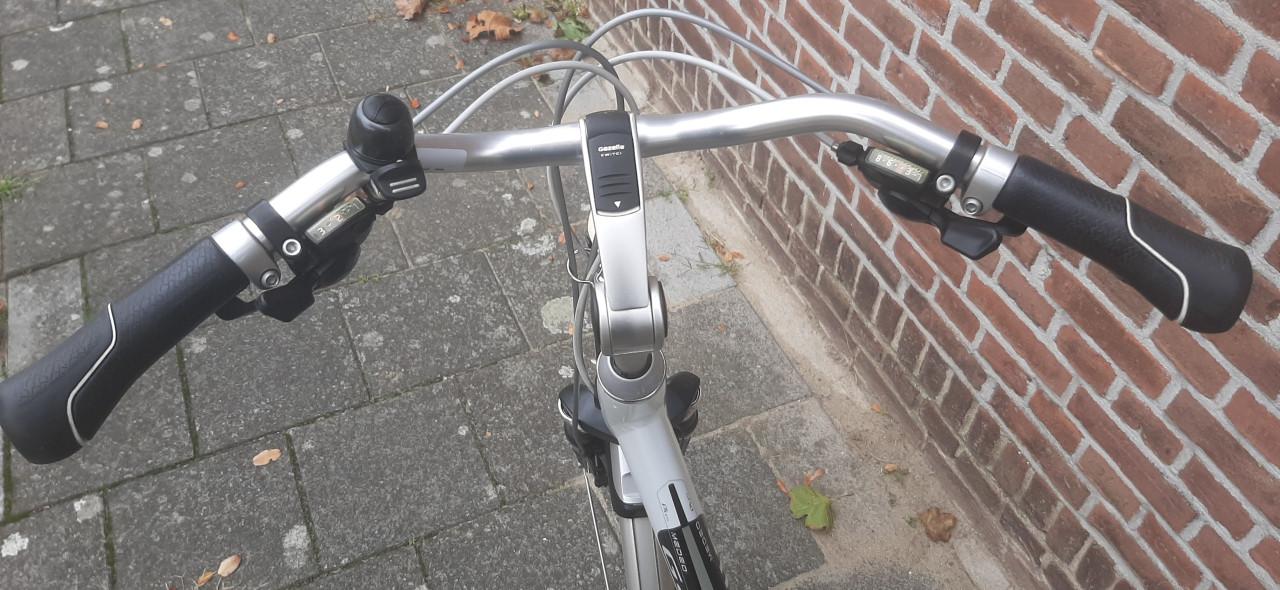 Gazelle Medeo