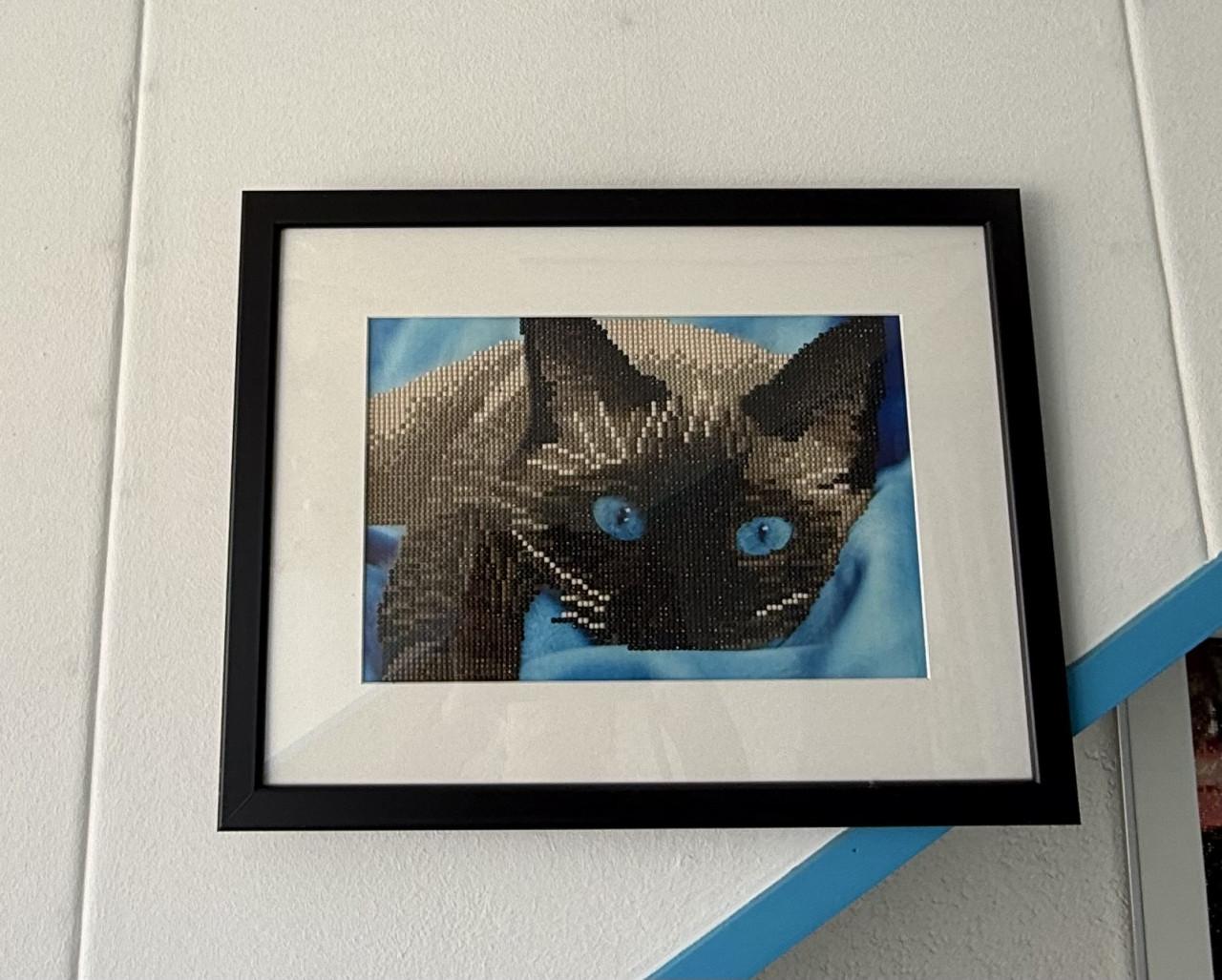 Borduur werkjes / daimantpainting ingelijst