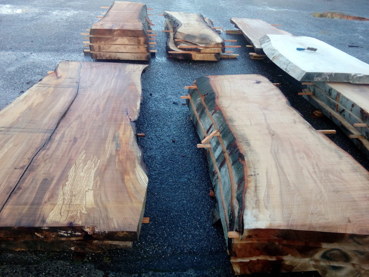 Boomstamtafels Tafelbladen Planken Bartafels keuken Salontafel wandplanken