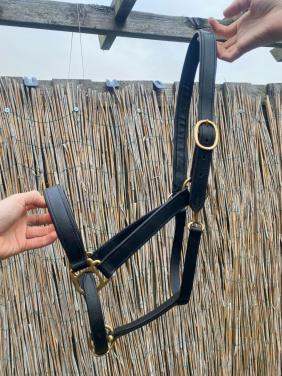 Leren halster maat full