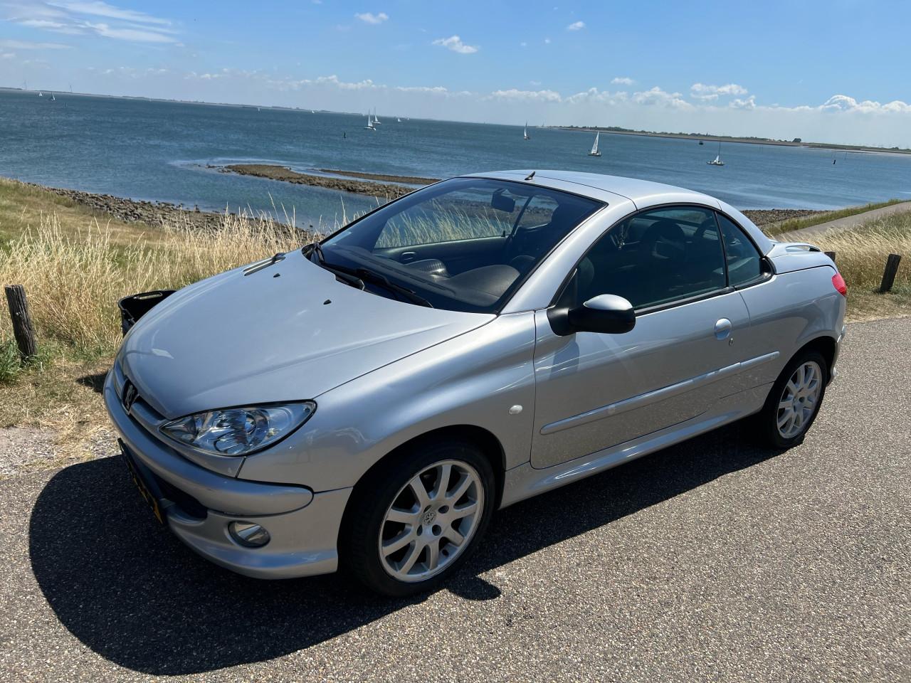 Peugeot 206CC Cabrio in metallic grijs