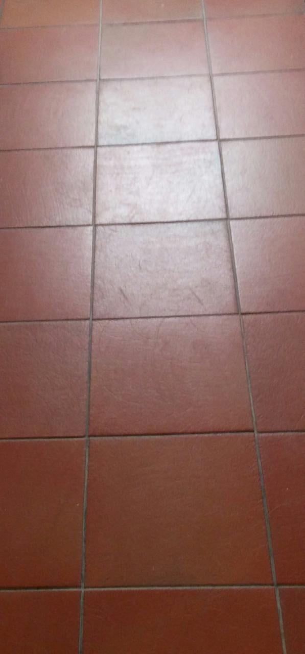 Terracotta tegels 🧱