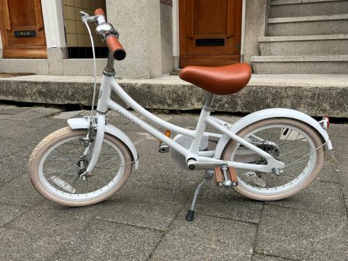 Banwood Kinderfiets 16 inch (4 tot 6 jaar)