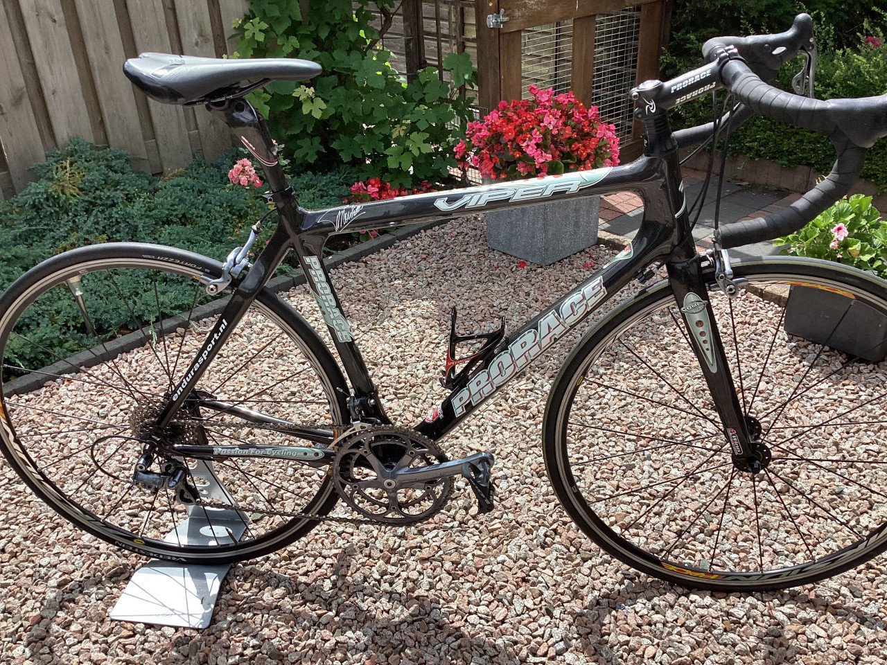 Carbon Prorace Viper racefiets 52.5 cm, c/t sloping frame, in nette staat.