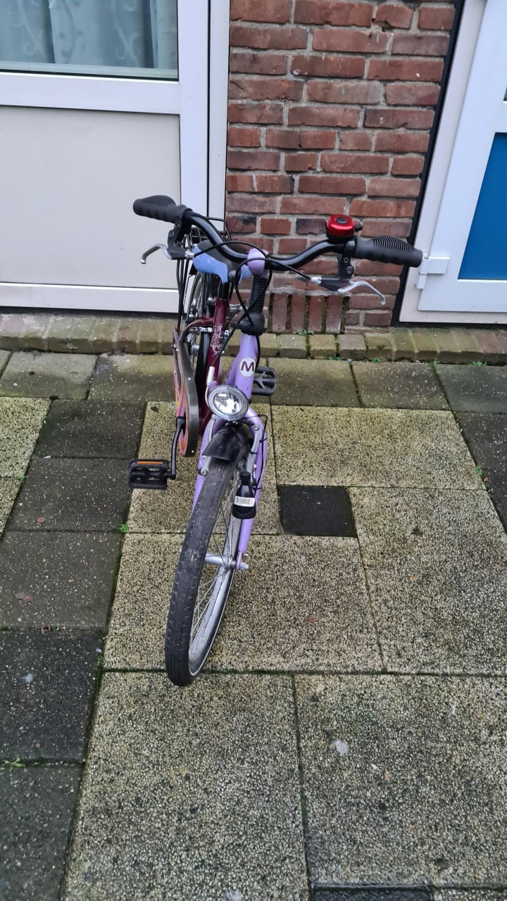 Meisjes fiets Montego-20inch-7 tot 9 jaar-trap rem achter