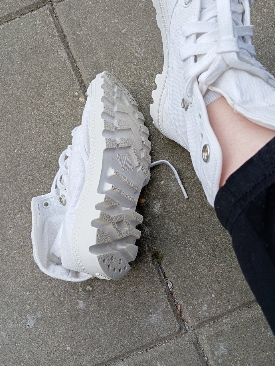 Palladium Baggy Wit 37