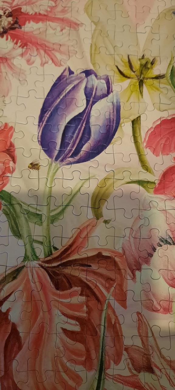 Mooie Jumbo legpuzzel 950 stukjes