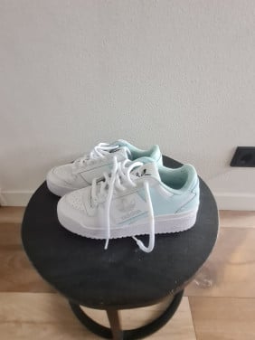 Schoen
