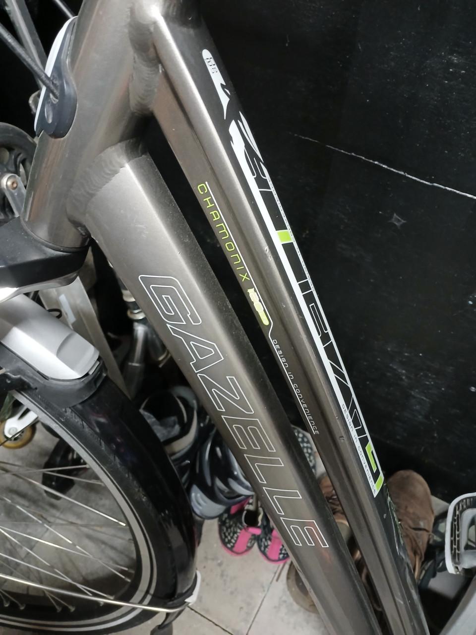Gazelle Chamonix damesfiets