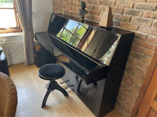 Eterna piano