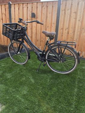 Cortina U4 24 inch