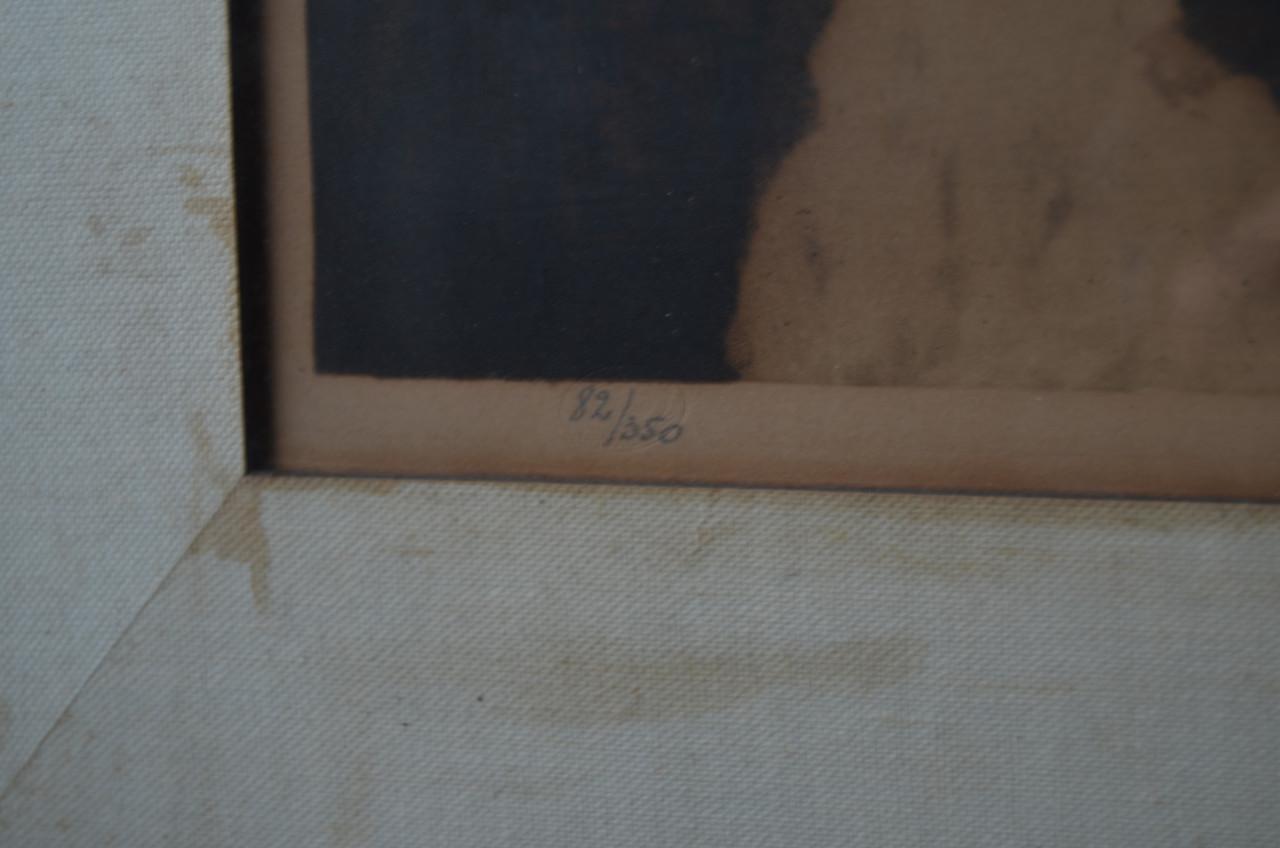 Grote kleurenets Grachtenpanden Brugge Julien v. Santen