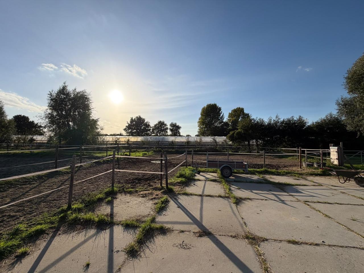 1 stal vrij, omgeving Kapelle (Zeeland)