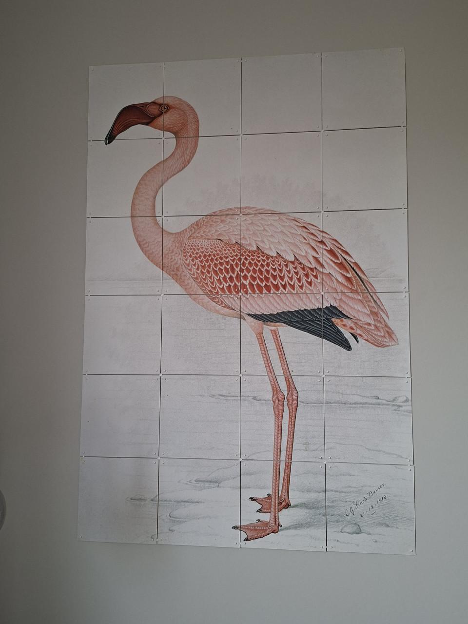 Ixxi flamingo