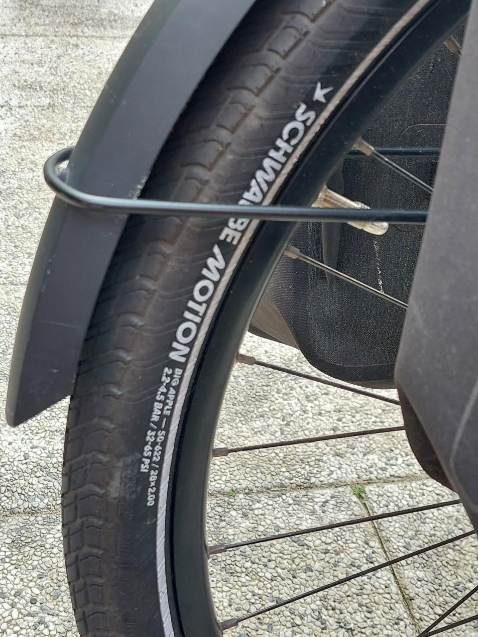 Gazelle Chamonix T10 grey/blue 53