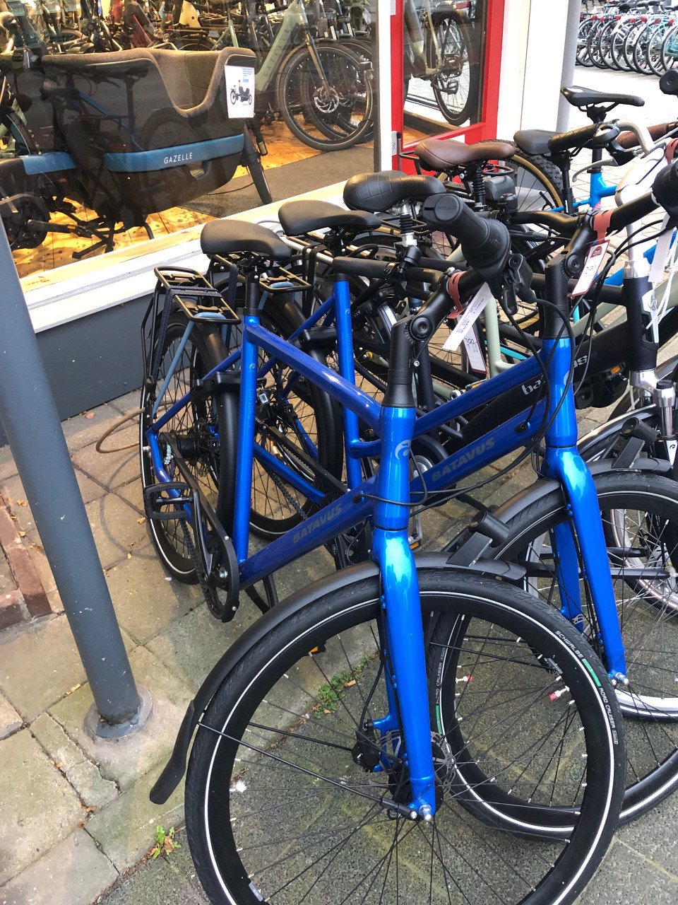 Batavus dinsdag exclusieve riem
