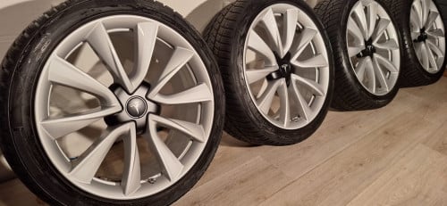 19'' Originele Performance Tesla Model 3 velgen + banden