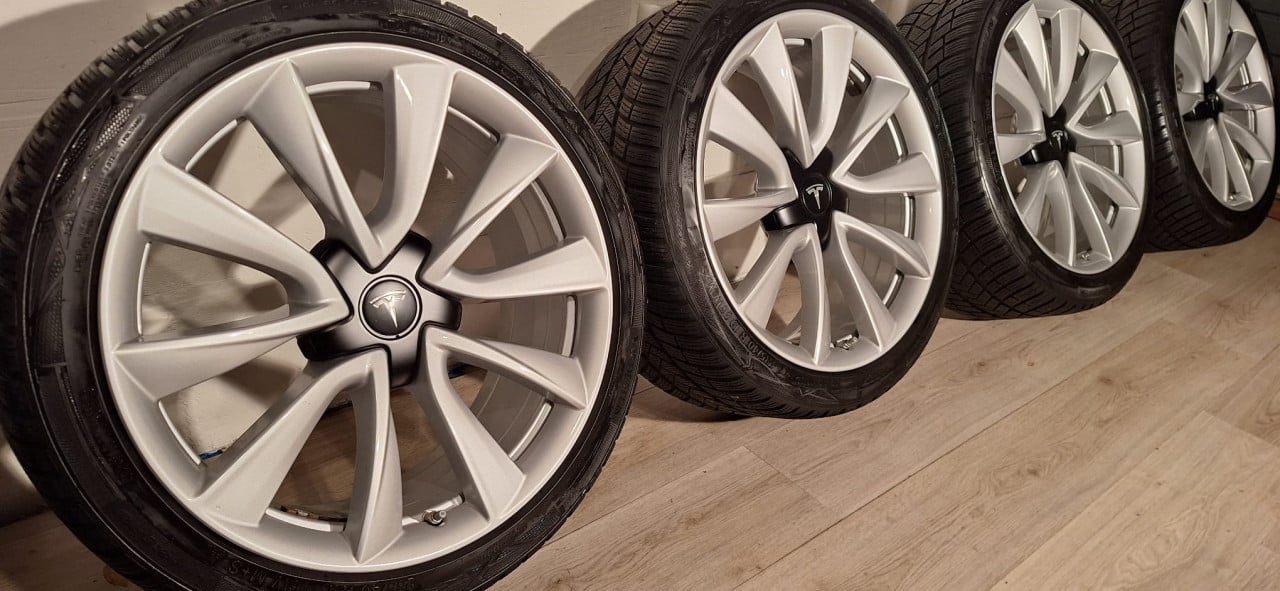 19'' Originele Performance Tesla Model 3 velgen + banden