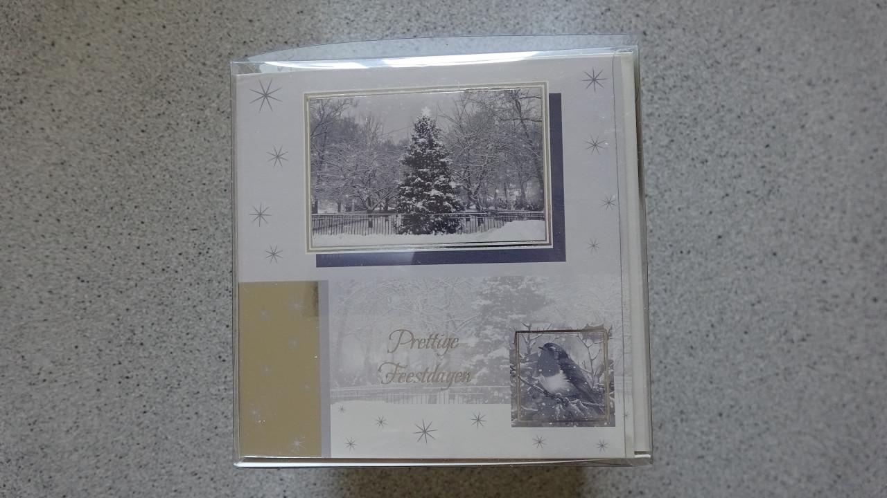 Kerst - feestdagen kaarten box (30 stuks) nieuw