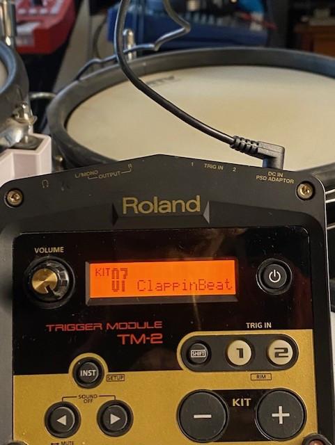 ROLAND TM-2 Trigger Module + Drum-Tec Trigger Tube