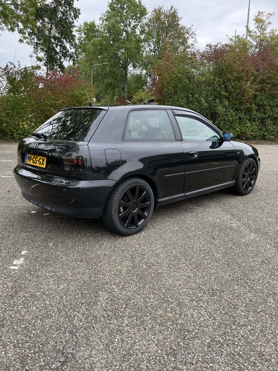 Goed onderhouden Audi A3 8L 2001