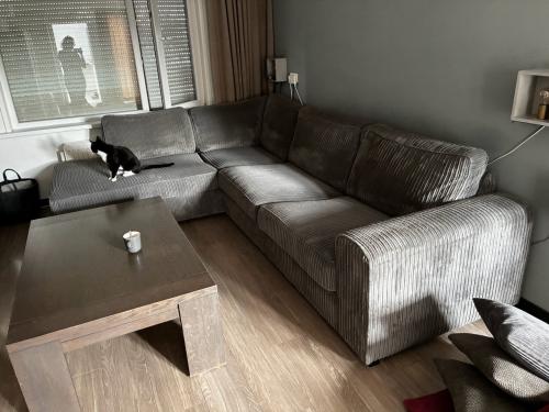 Te koop: royale hoekbank