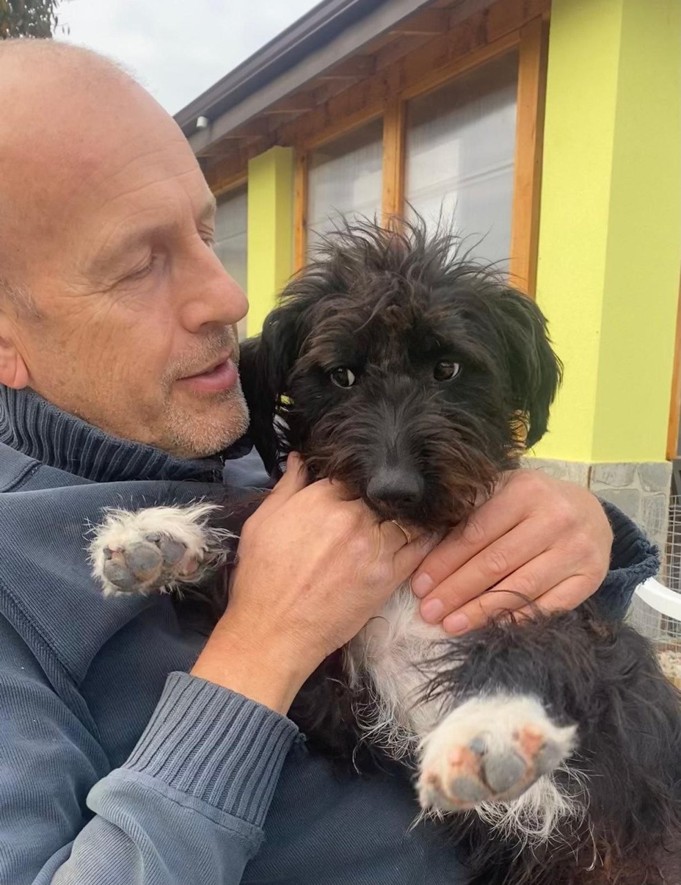 Hond zoekt baasje