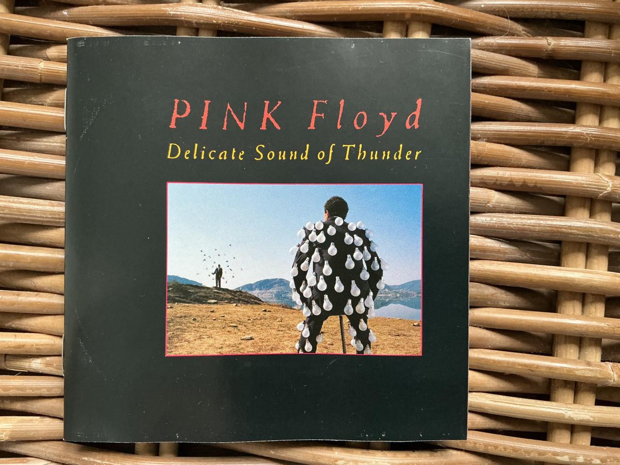 Pink Floyd Delicate Sound of Thunder