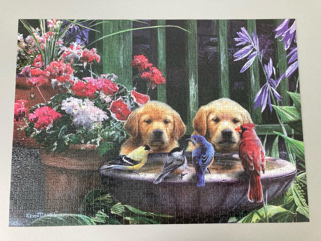 Puzzels 1000 stukjes