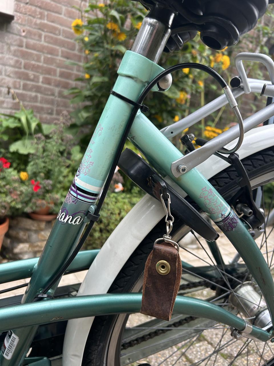 Meisjesfiets Batavus Gabana. Geheel gereviseerd. Lees advertentie.