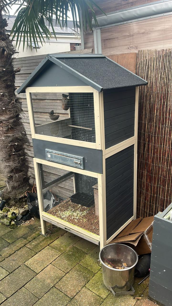 Volière met 4 vogels