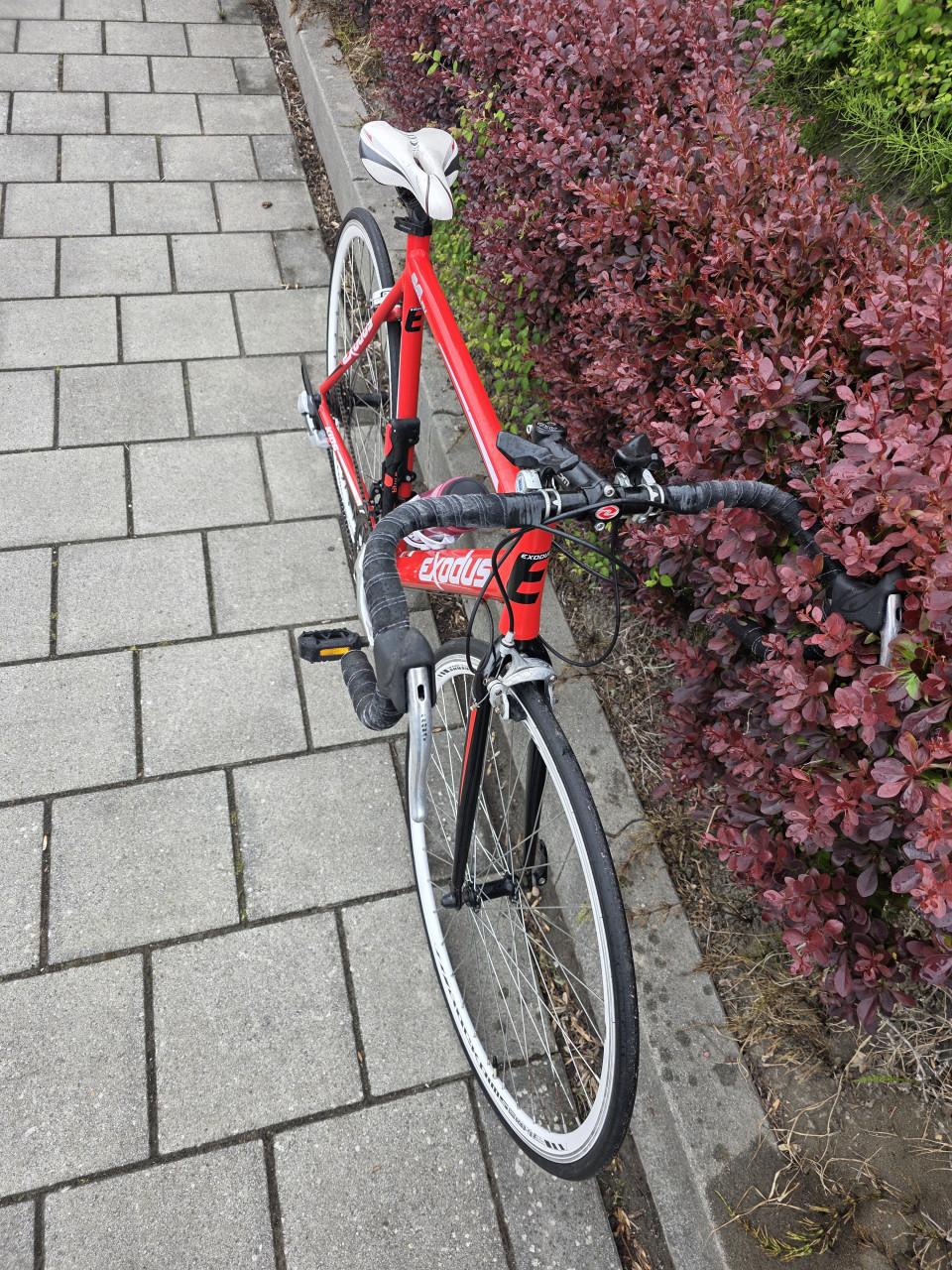 RACEFIETS | EXODUS | 28 INCH | FRAME 56 CM | 2X7 V