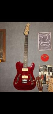 Elektrische gitaar