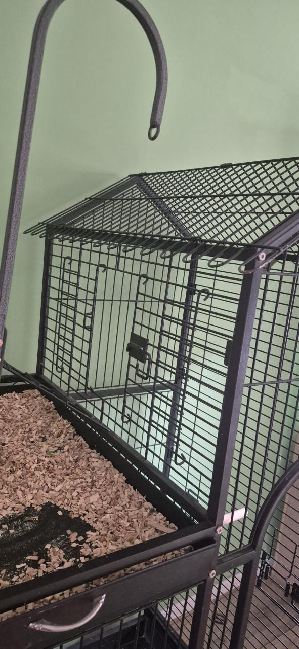 Vogel/papegaaien villa izgst