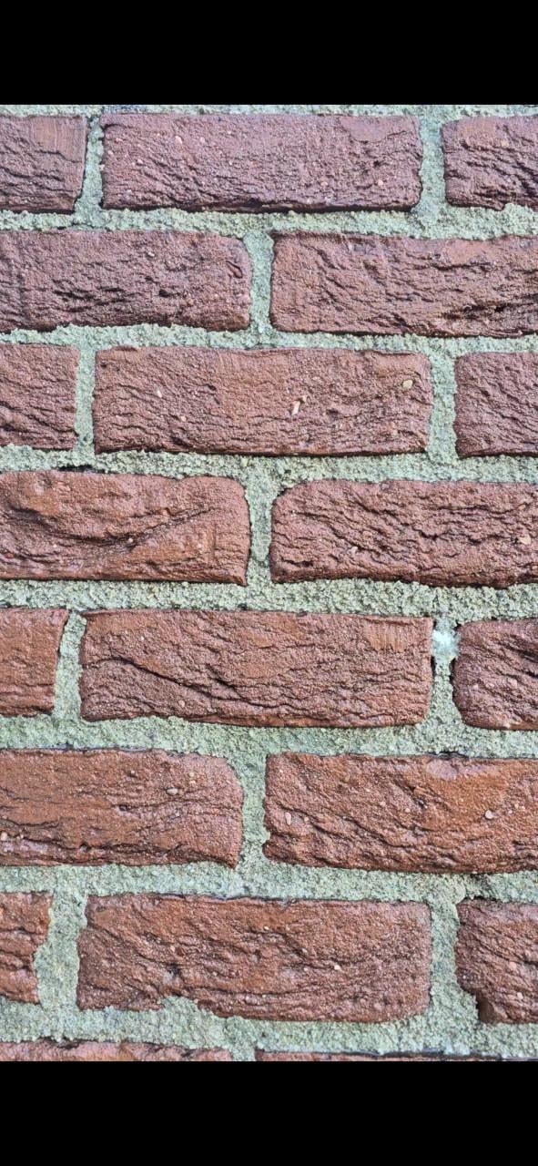 Hogedruk reinigen/schoonmaak tuin/gevel/erven/ straten en meer