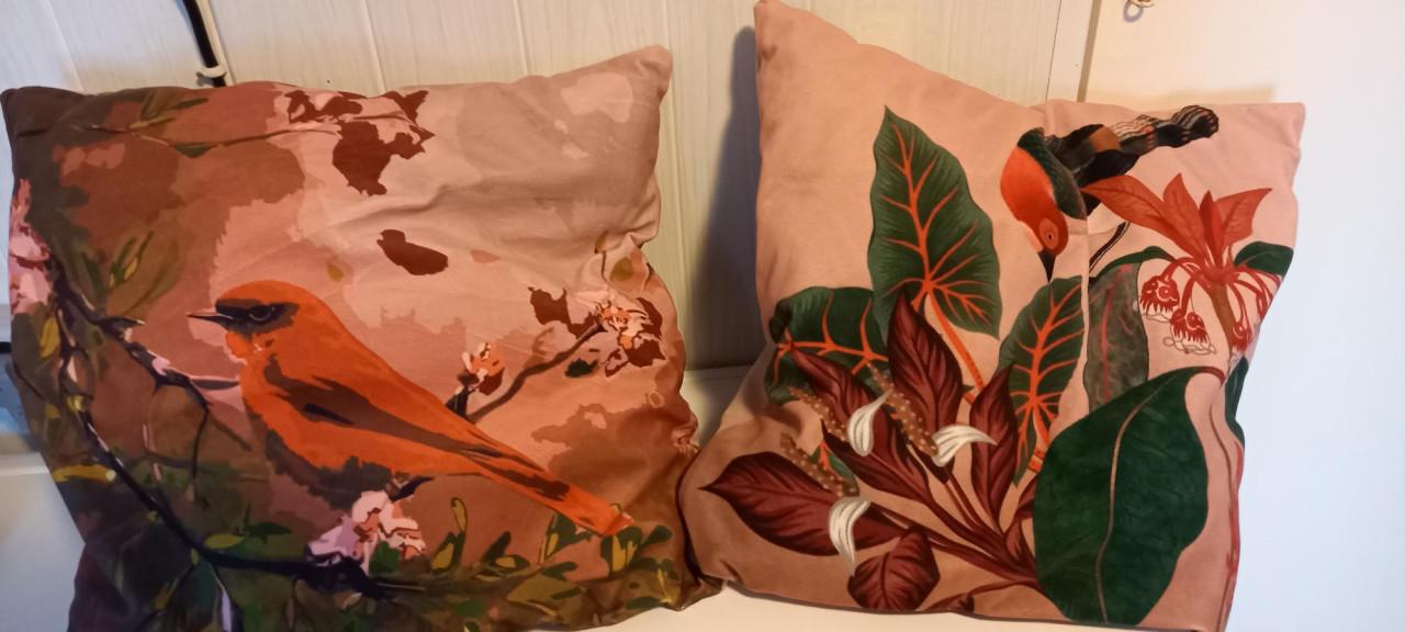 2 leuke kussentjes voor 5 euro