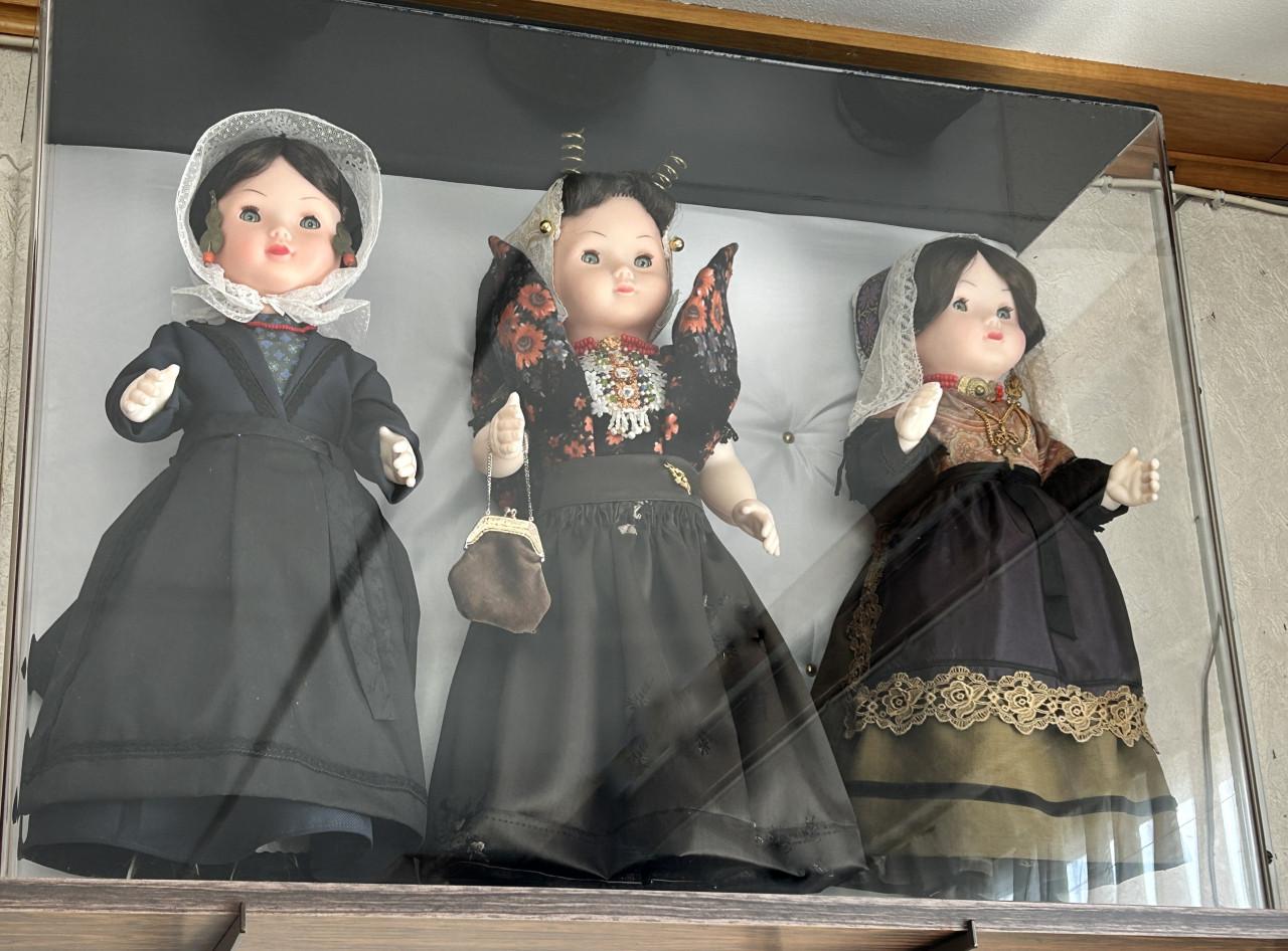 COLLECTIE BOERENPOPPEN