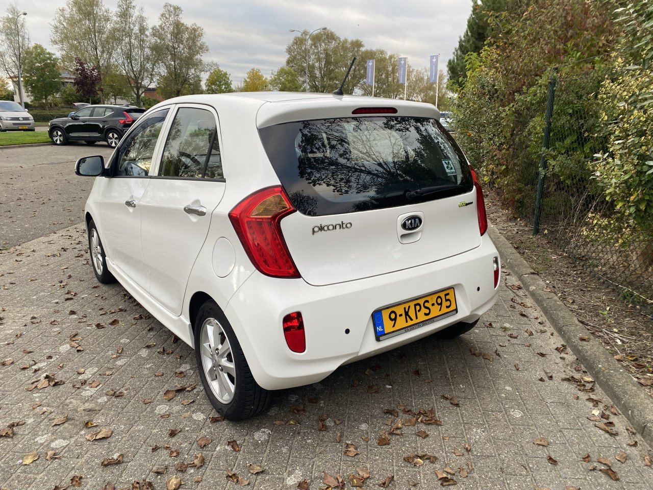 Te koop Kia Picanto