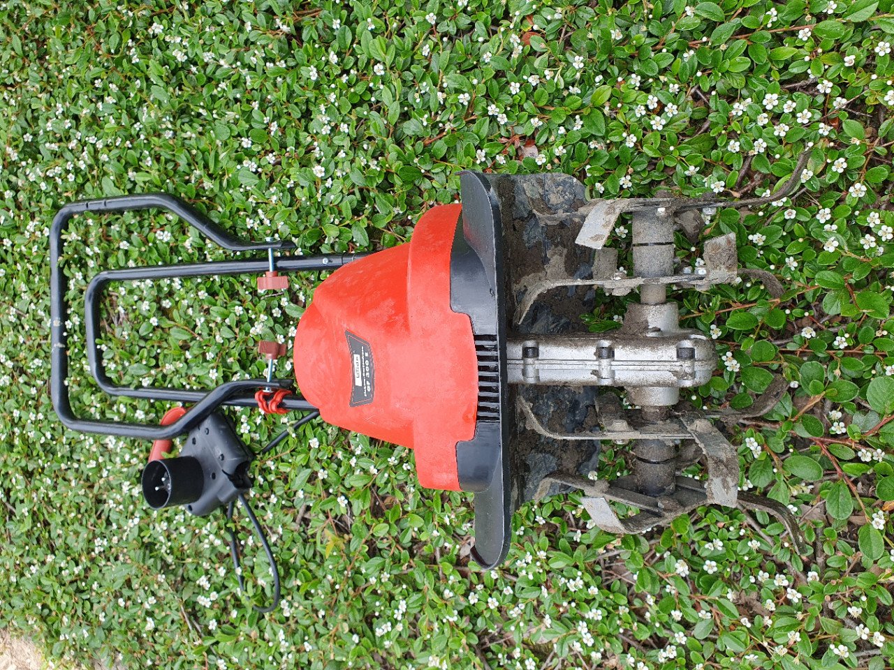 Tuinfreesje gratis