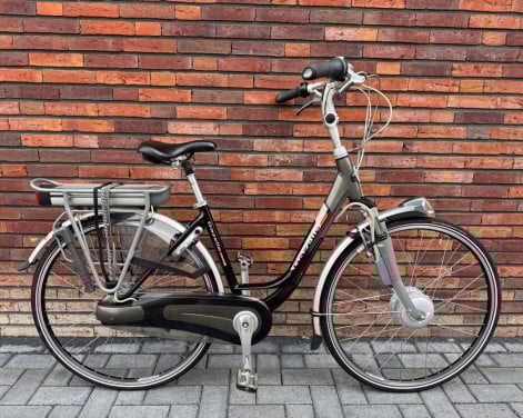 Prachtige Gazelle Innergy Gouden Accu