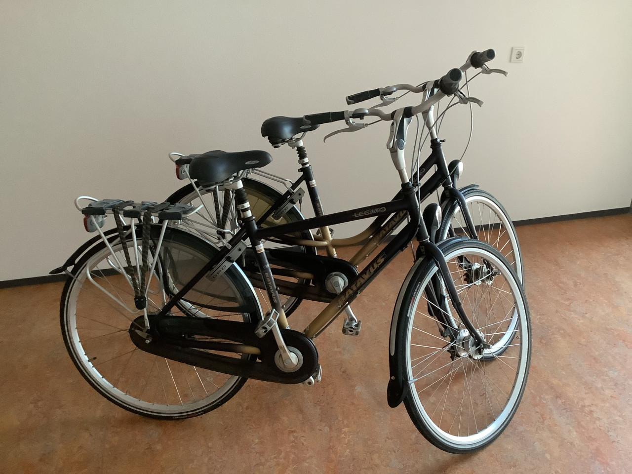 Set Batavus Legato fietsen