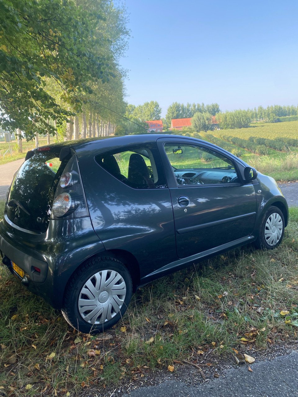 Auto