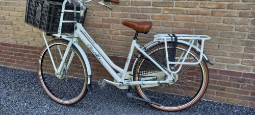 Gazelle Miss Grace