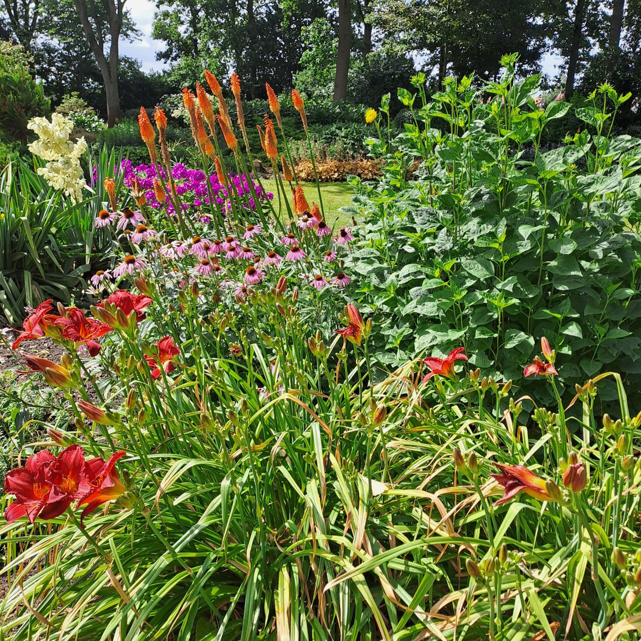 Opentuin dagen 30 en 31 augustus