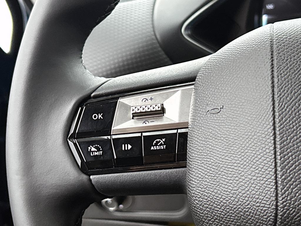 Ds Ds 3 e-tense ligne business 54 kwh