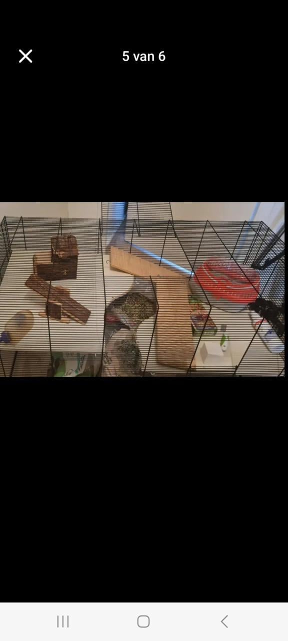 Een grote hamster/muizen kooi