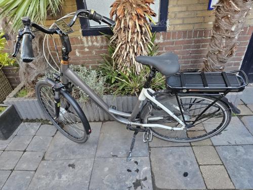 Electrische fiets stella